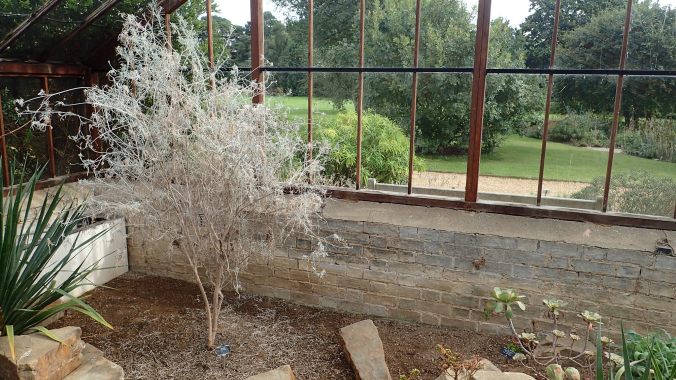 28847025103_c1eaeed437_k